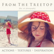 From The Treetop Photographer Resources