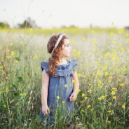 Lilyblue Actions And Presets